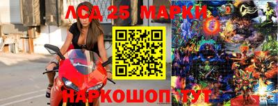СК Бийск