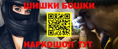 СК Бийск