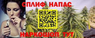 СК Бийск