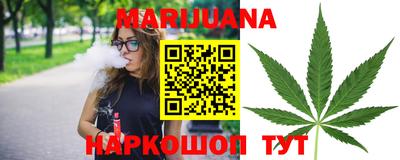 СК Бийск