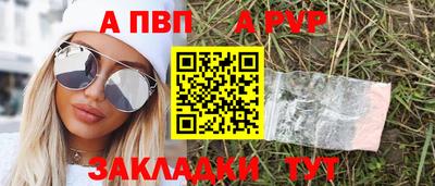 СК Бийск