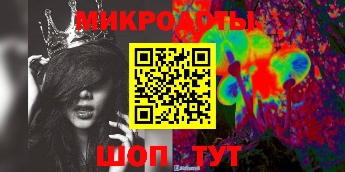 Камень-на-Оби  Псилоцибиновые грибы Psilocybe  Вход с VPN  как найти закладки  Галлюциногенные грибы Psilocybe 